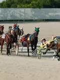 northfield raceway live video.